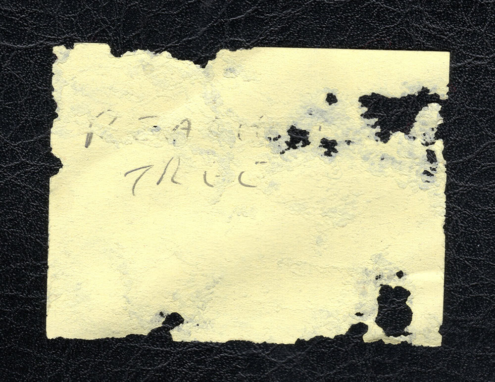 Scanned Image of Insect Damaged Post-It Label.